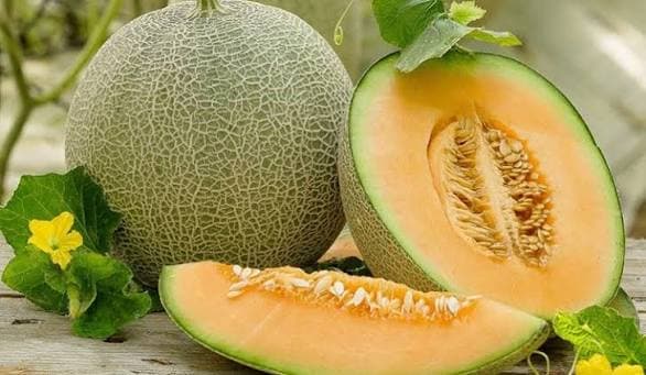 Dưa lưới Như Hoa ảnh 3